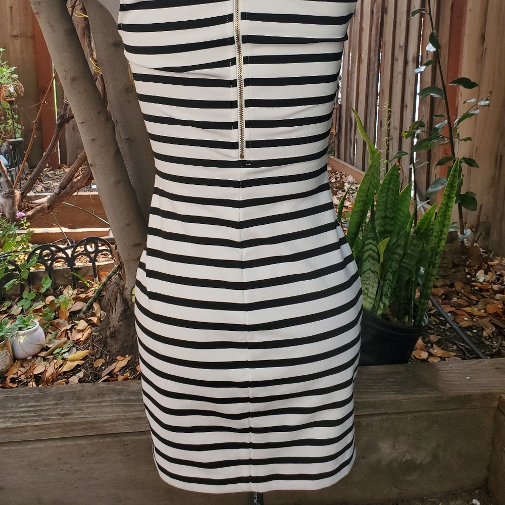 Express Dress Size 2 - Picture 3 of 6